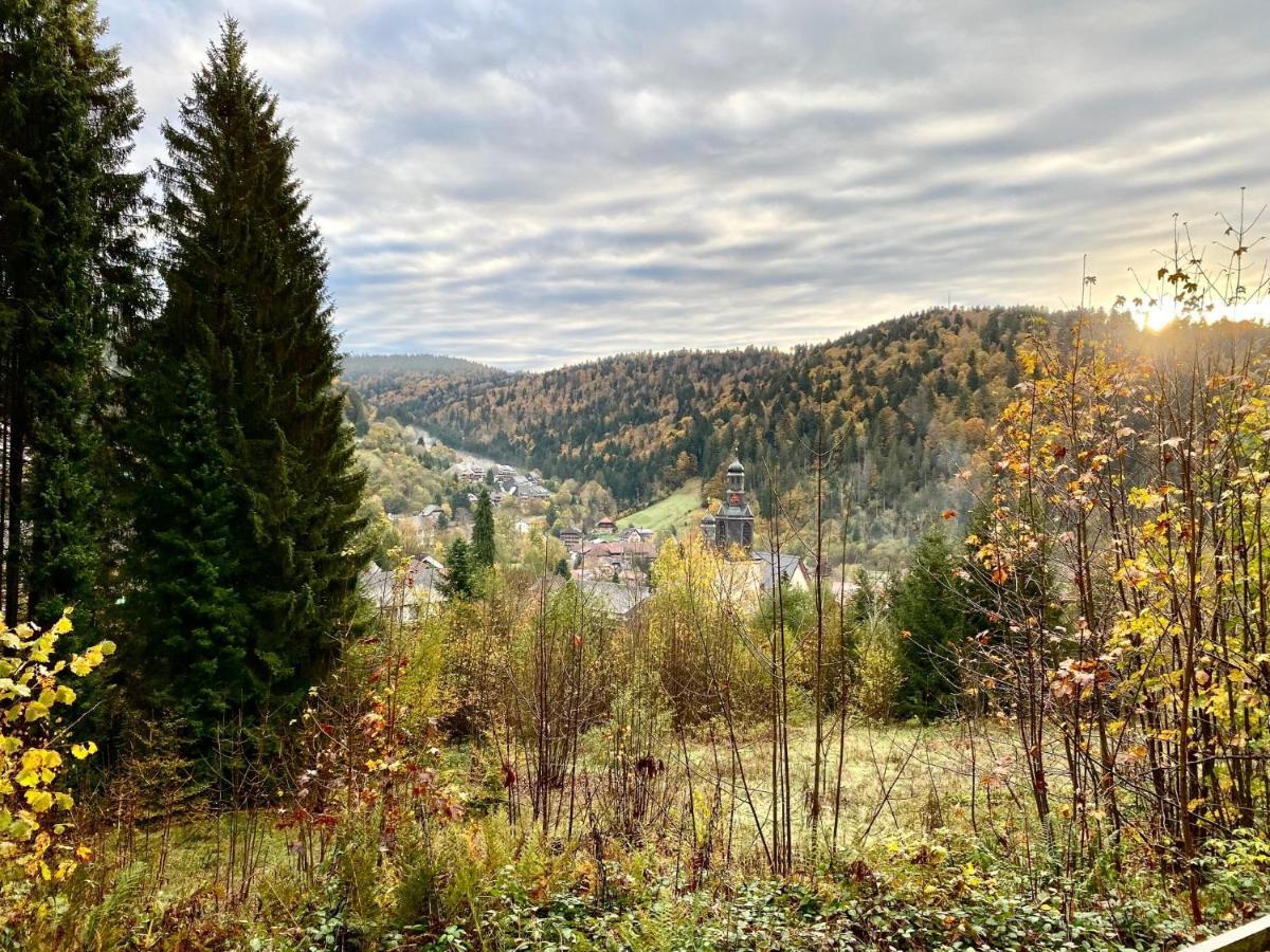 Apartment-Chalet Panorama Todtmoos Εξωτερικό φωτογραφία